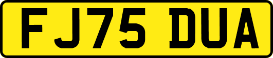 FJ75DUA