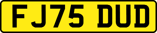 FJ75DUD