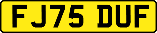 FJ75DUF