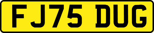FJ75DUG