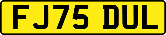 FJ75DUL