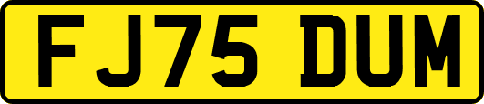 FJ75DUM