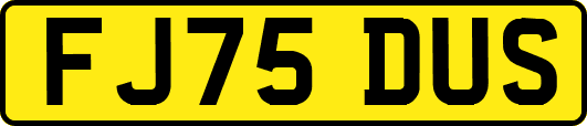 FJ75DUS
