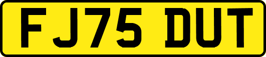FJ75DUT