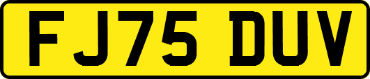 FJ75DUV