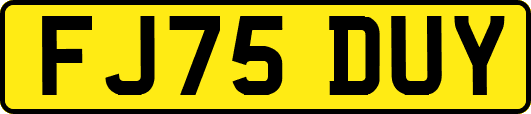 FJ75DUY