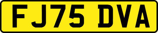 FJ75DVA