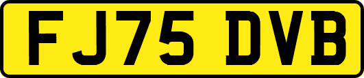 FJ75DVB