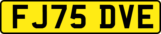 FJ75DVE