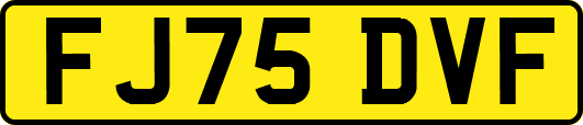FJ75DVF
