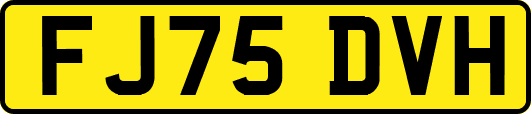 FJ75DVH