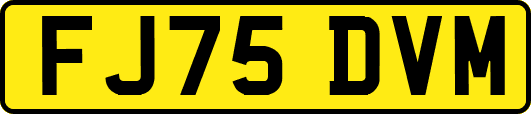 FJ75DVM