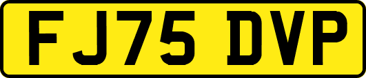 FJ75DVP