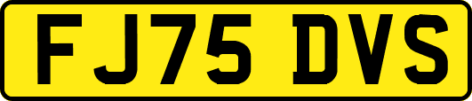 FJ75DVS