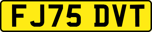 FJ75DVT