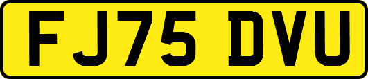 FJ75DVU