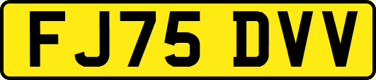 FJ75DVV
