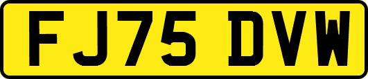 FJ75DVW