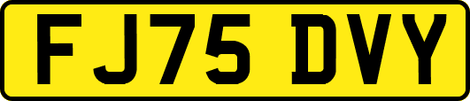 FJ75DVY