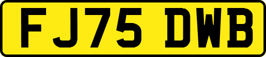 FJ75DWB