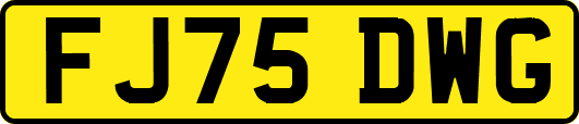 FJ75DWG