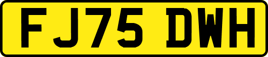 FJ75DWH