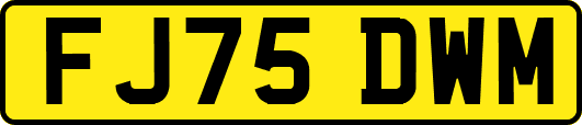 FJ75DWM
