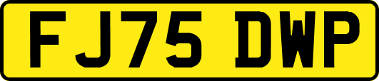 FJ75DWP