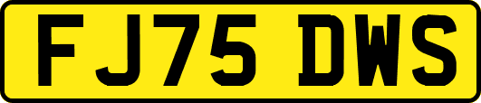 FJ75DWS