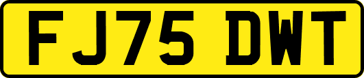 FJ75DWT