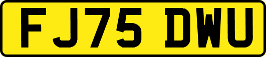 FJ75DWU