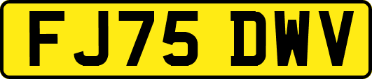 FJ75DWV