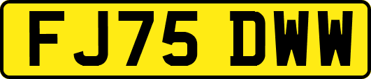 FJ75DWW