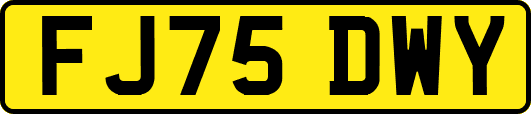 FJ75DWY