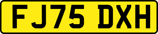 FJ75DXH