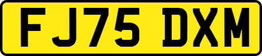 FJ75DXM