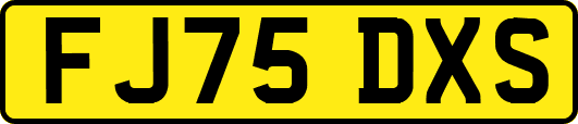 FJ75DXS