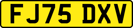 FJ75DXV