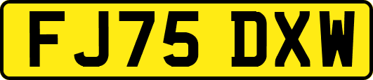 FJ75DXW