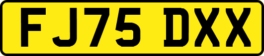 FJ75DXX