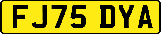 FJ75DYA