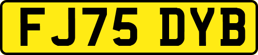 FJ75DYB