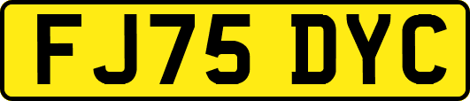 FJ75DYC