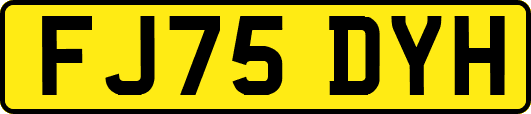 FJ75DYH