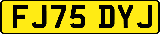 FJ75DYJ