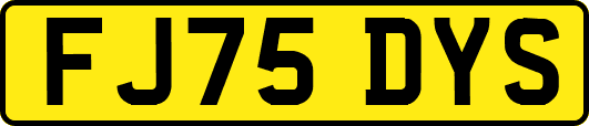FJ75DYS