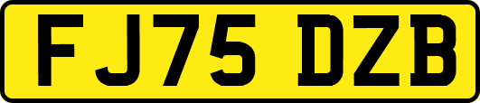 FJ75DZB