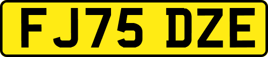 FJ75DZE
