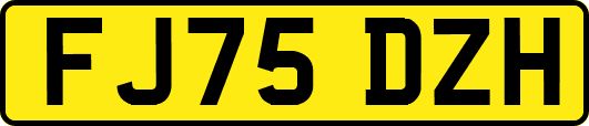 FJ75DZH