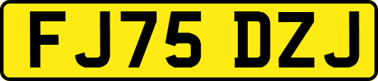 FJ75DZJ